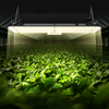 Lámpara de cultivo LED VEVOR de 150 W chips Samsung 281B+PRO para cultivo de plantas de interior 3 x 3 pies