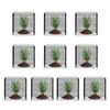 VEVOR - Paquete de 10 protectores de plantas de animales de 12 x 12 pulgadas