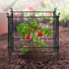 VEVOR - Paquete de 5 protectores de plantas de animales de 13,4 x 13,4 pulgadas