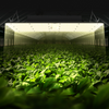 Lámpara de cultivo de diodos Samsung 281B de alto rendimiento para plantas de interior de 4x4/5x5 pies