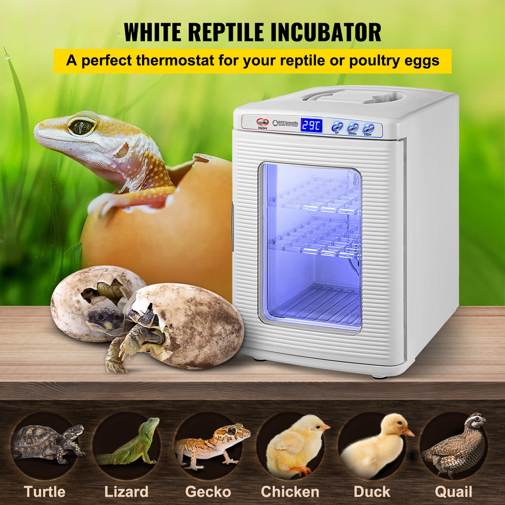 Incubadora de reptiles blanca VEVOR de 25 l refrigeración y calefacción de 5 a 60 °C 12 V/110 V