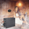 Generador de ducha de vapor VEVOR de 12 KW con temporizador de 24 horas