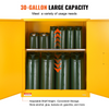 Gabinete de almacenamiento de líquidos inflamables de 30 galones 43,1 x 18,1 x 50,1 pulgadas
