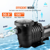 Bomba para piscina elevada VEVOR 1,5 HP 100 GPM 110 V/240 V 3450 RPM