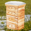 VEVOR Bee Hive - Kit de inicio de 40 colmenas de abejas con marco de madera de cedro recubierta de cera de abejas 2 cajas de abejas profundas y 2 medianas