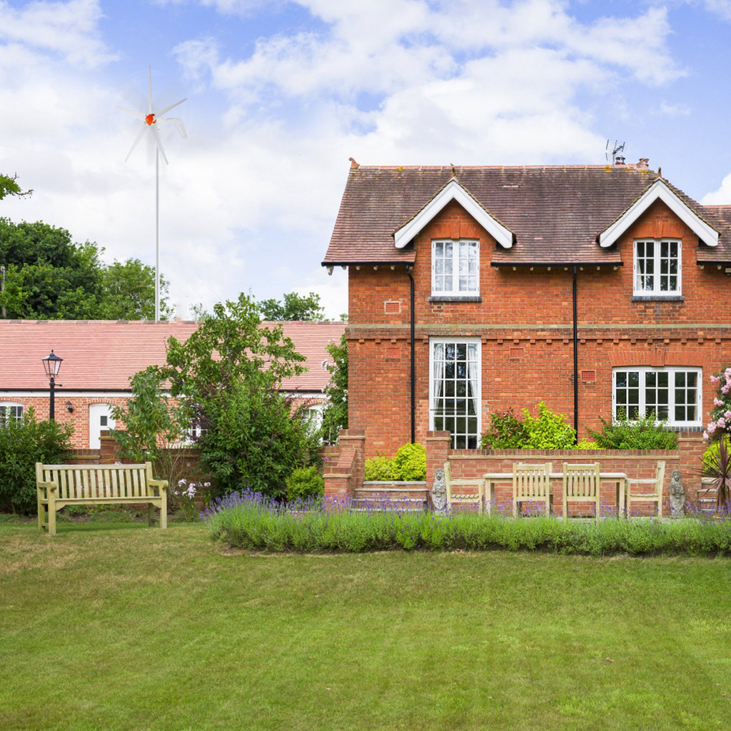 81174855