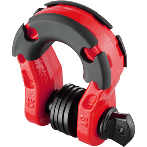 Grillete con anilla en D de 3/4