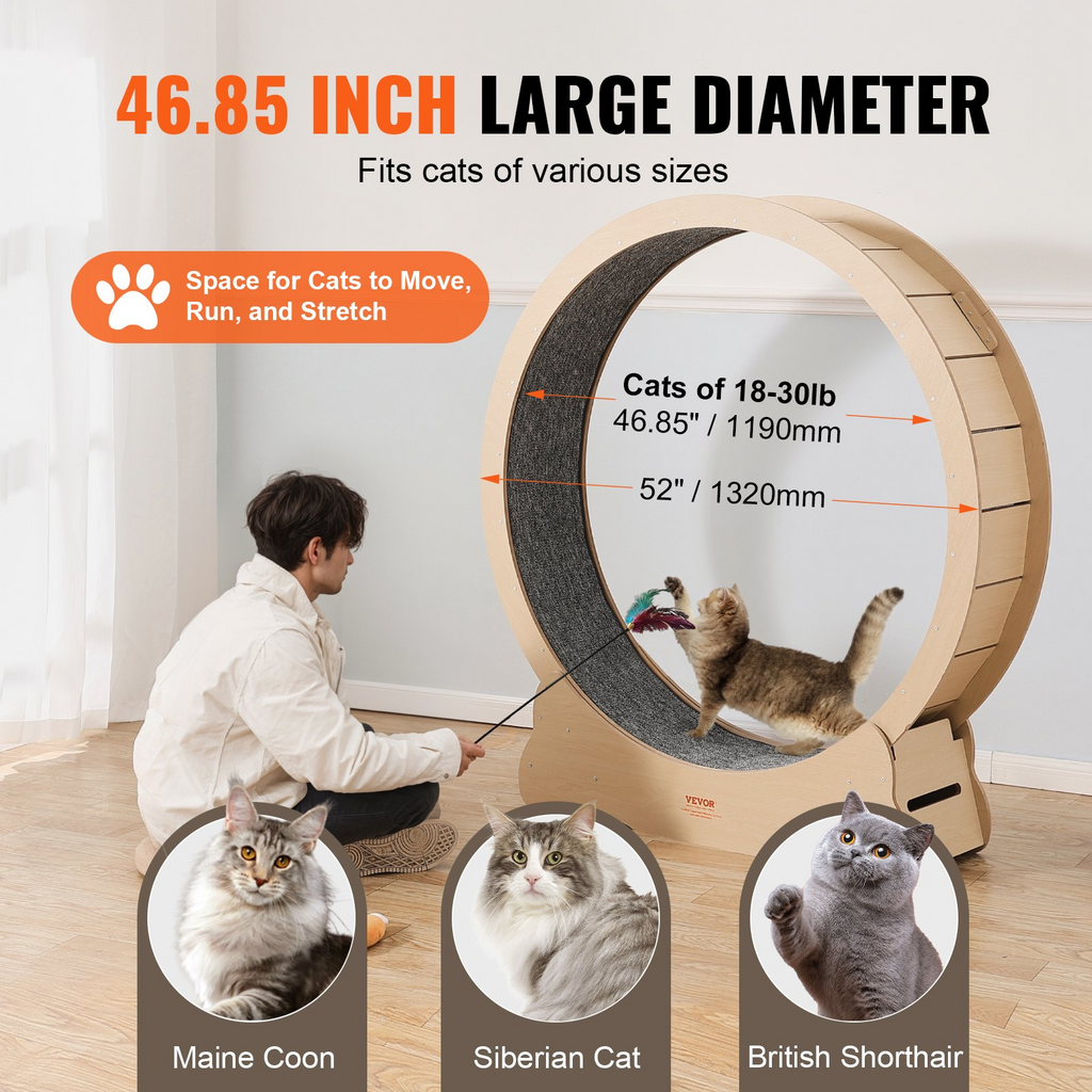 82797153